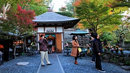2015-11-282468.JPG