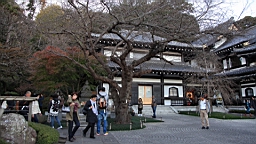2015-11-282479.JPG
