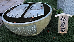 2015-11-282481.JPG