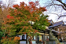 2015-11-282483.JPG