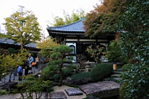 2015-11-282485.JPG