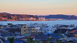 2015-11-282495.JPG