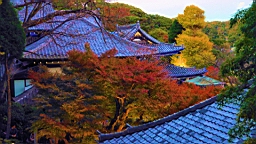 2015-11-282523.JPG
