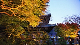 2015-11-282534.JPG