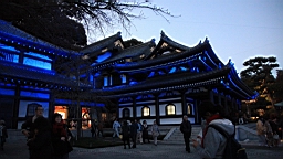 2015-11-282542.JPG