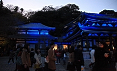 2015-11-282546.JPG