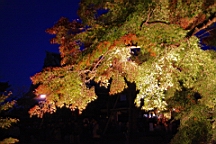 2015-11-282560.JPG