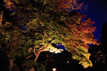 2015-11-282561.JPG