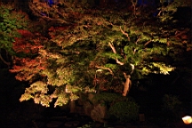 2015-11-282563.JPG