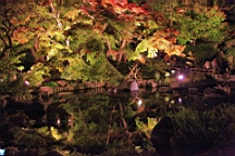 2015-11-282577.JPG