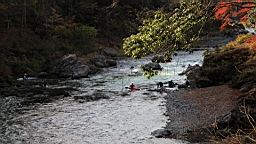 2015-11-292586.JPG