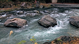 2015-11-292589.JPG