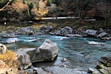 2015-11-292591.JPG