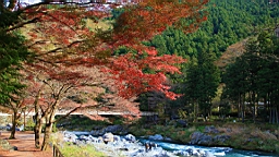 2015-11-292592.JPG
