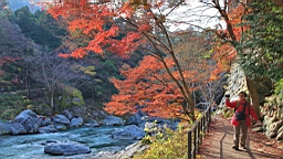 2015-11-292593.JPG