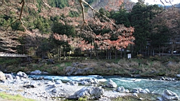 2015-11-292594.JPG