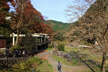 2015-11-292597.JPG