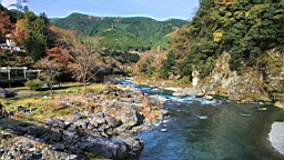 2015-11-292601.JPG