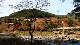 2015-11-292602.JPG