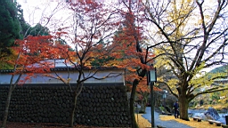 2015-11-292603.JPG