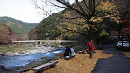 2015-11-292604.JPG