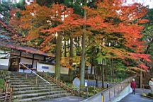 2015-11-292607.JPG