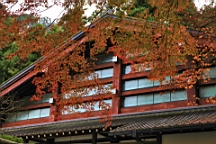 2015-11-292609.JPG