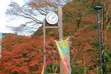 2015-11-292618.JPG