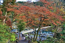 2015-11-292619.JPG