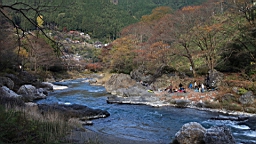 2015-11-292621.JPG