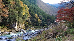 2015-11-292622.JPG