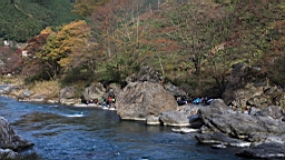 2015-11-292623.JPG