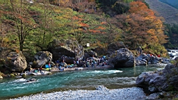 2015-11-292624.JPG