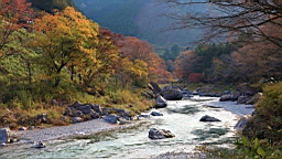 2015-11-292627.JPG