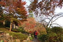 2015-11-292628.JPG