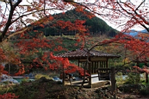 2015-11-292630.JPG