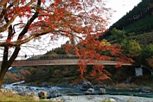 2015-11-292633.JPG