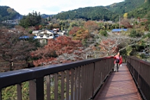 2015-11-292635.JPG