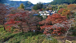 2015-11-292636.JPG