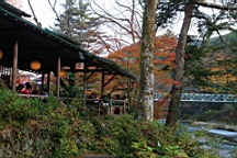 2015-11-292643.JPG