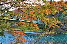 2015-11-292645.JPG