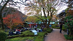 2015-11-292646.JPG