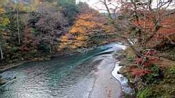 2015-11-292647.JPG