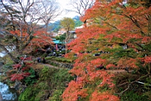 2015-11-292648.JPG