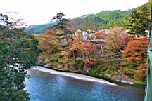 2015-11-292649.JPG