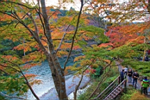 2015-11-292654.JPG