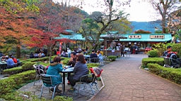 2015-11-292656.JPG