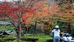 2015-11-292657.JPG
