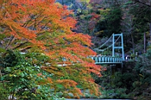 2015-11-292658.JPG