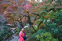 2015-11-292659.JPG